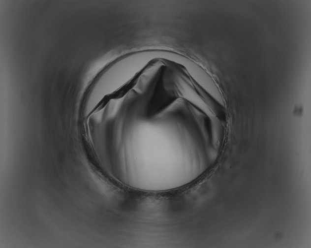 X0000092270248200710051345