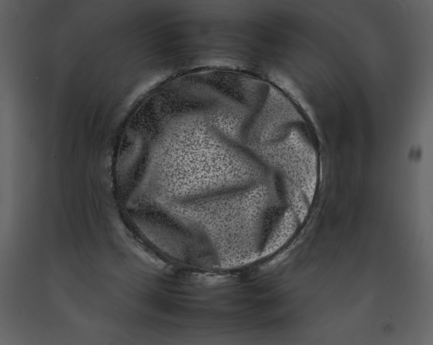 X0000092270249200710051345