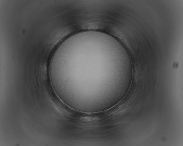 X0000092270251200710051345