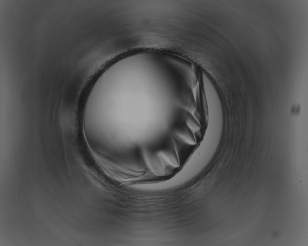 X0000092270252200710051345