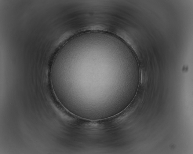 X0000092270253200710051345