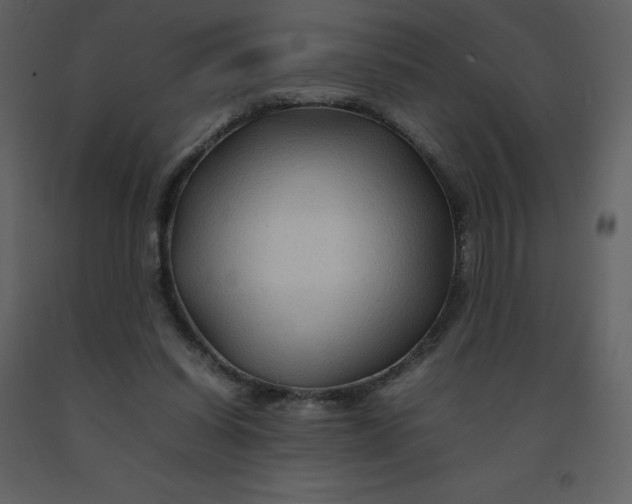 X0000092270254200710051345