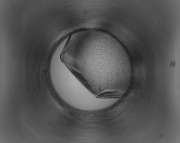 X0000092270256200710051345
