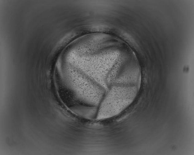 X0000092270258200710051345