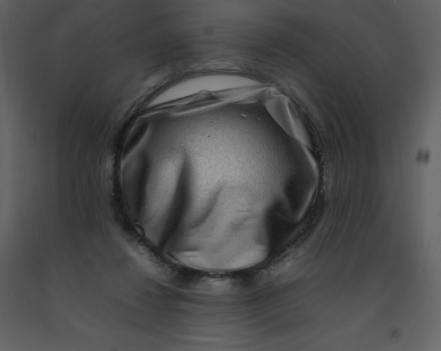 X0000092270260200710051345