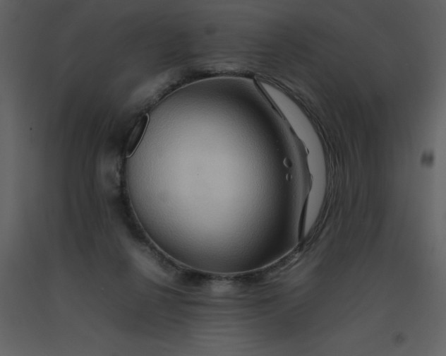 X0000092270264200710051345