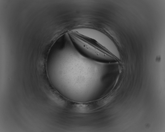 X0000092270265200710051345