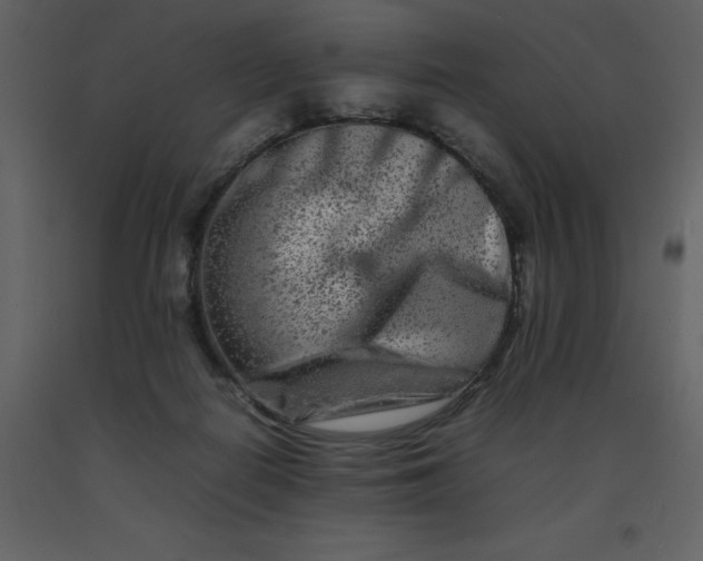 X0000092270266200710051345