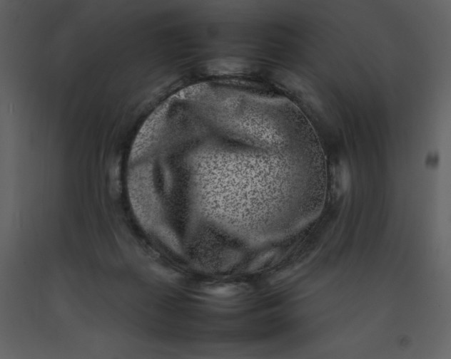 X0000092270267200710051346