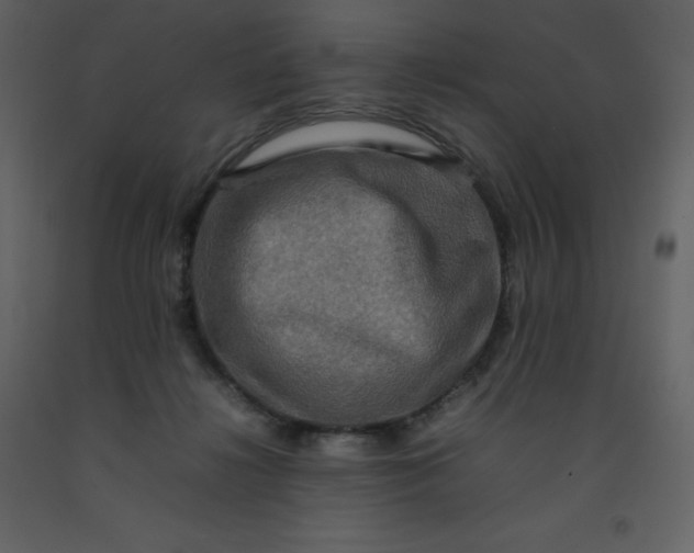 X0000092270268200710051346