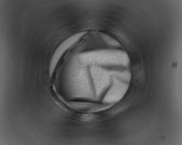X0000092270269200710051346