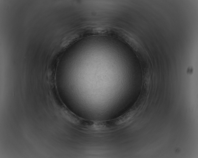 X0000092270270200710051346