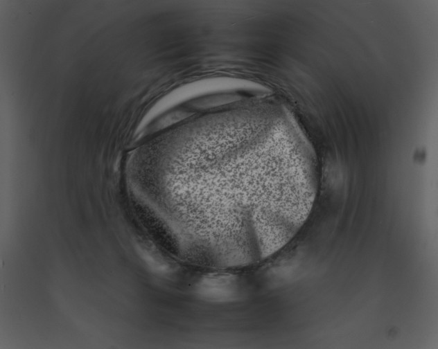 X0000092270271200710051346