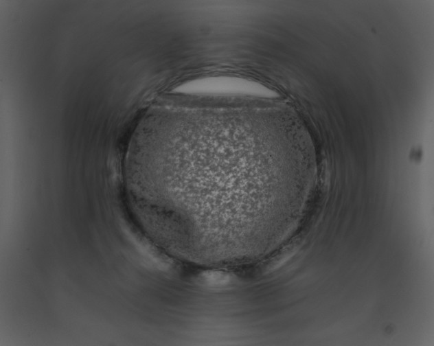 X0000092270272200710051346