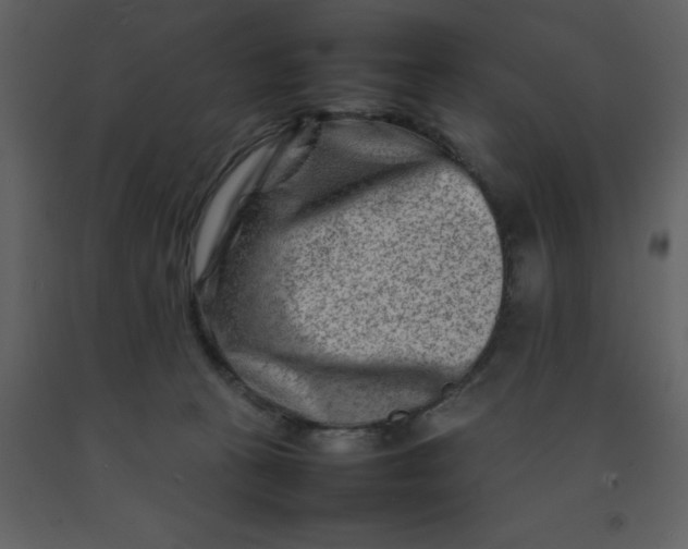 X0000092270273200710051346