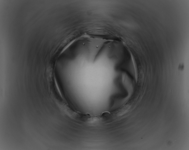 X0000092270274200710051346