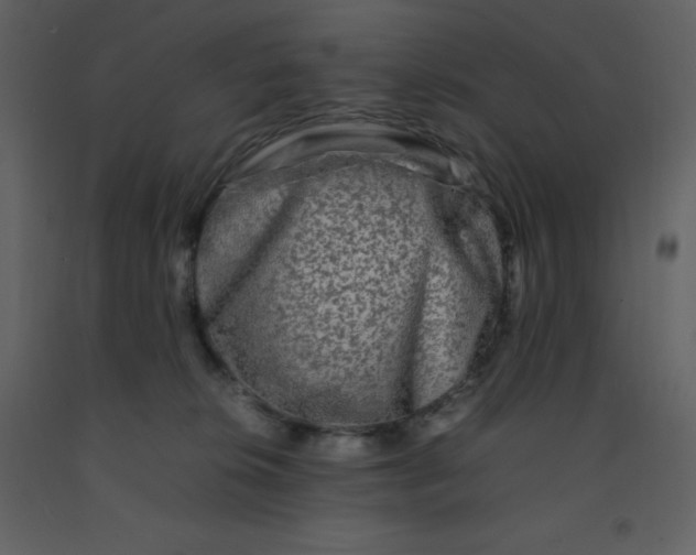 X0000092270276200710051346