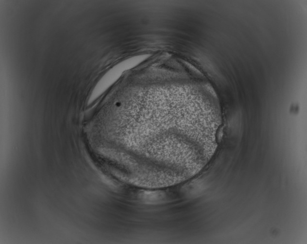 X0000092270277200710051346