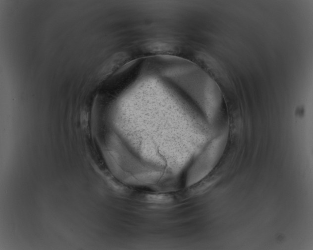 X0000092270281200710051346