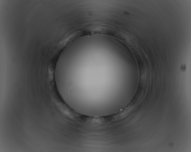 X0000092270282200710051346