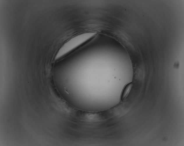 X0000092270283200710051346