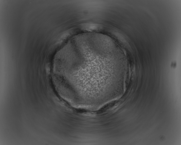 X0000092270284200710051346