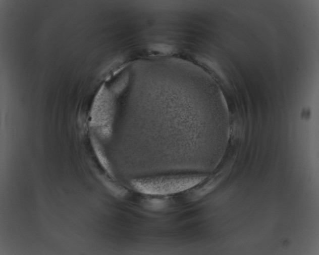 X0000092270285200710051346