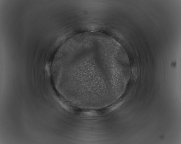 X0000092270286200710051346
