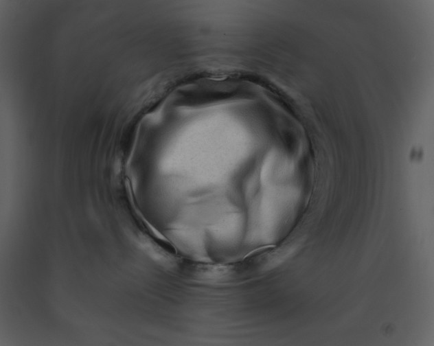 X0000092270288200710051346