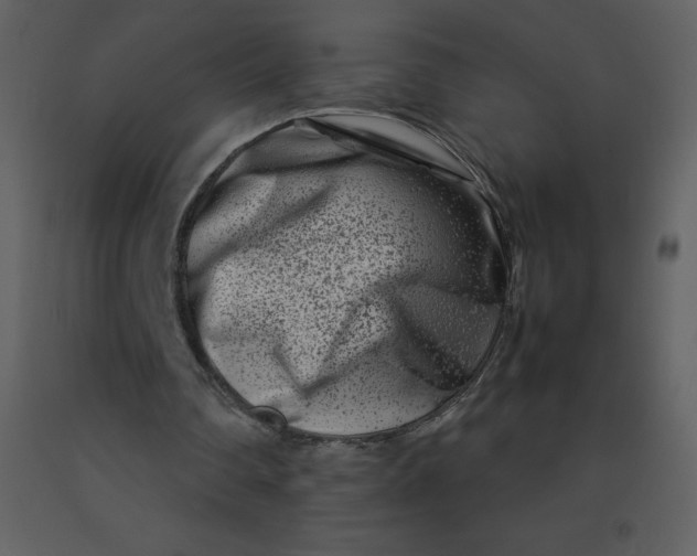 X0000092270290200710051345