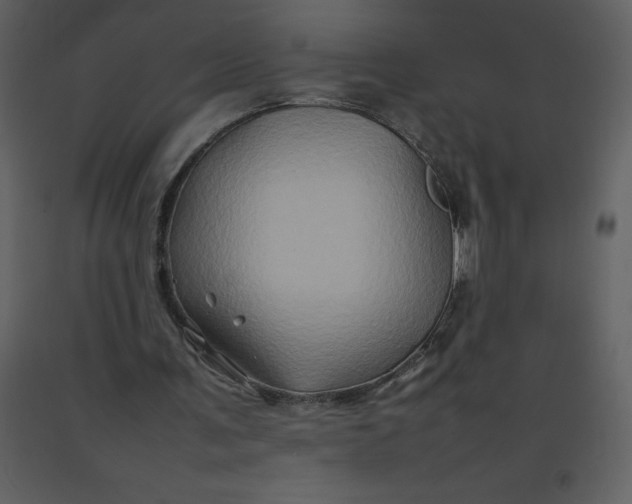 X0000092270291200710051345
