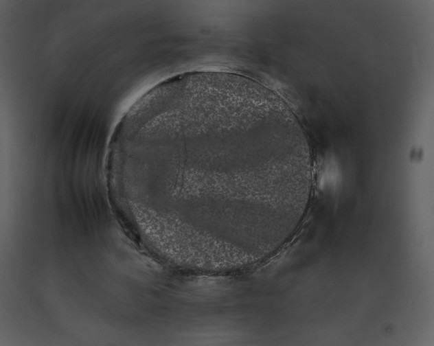 X0000092270292200710051345
