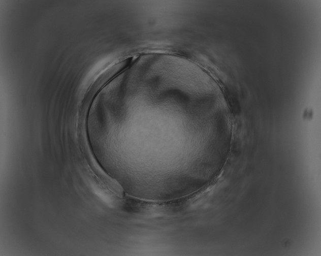 X0000092270293200710051345