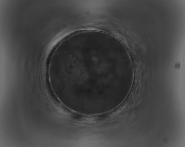 X0000092270295200710051345