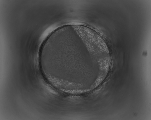 X0000092270296200710051345