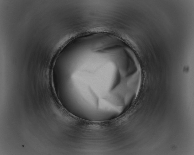 X0000092270298200710051345