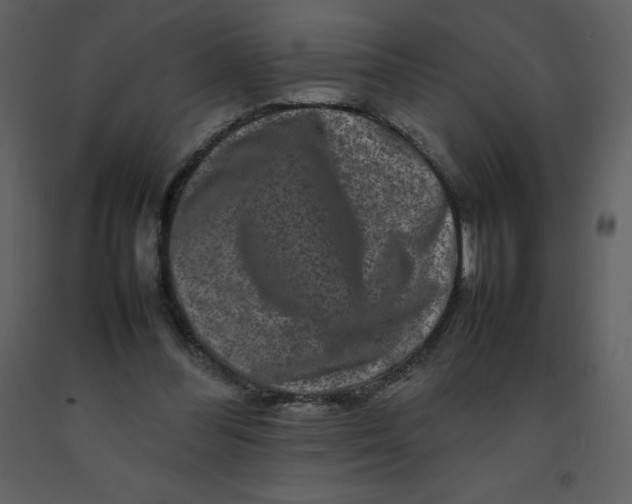 X0000092270300200710051345