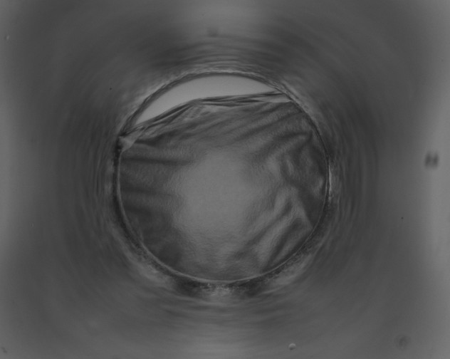 X0000092270301200710051345