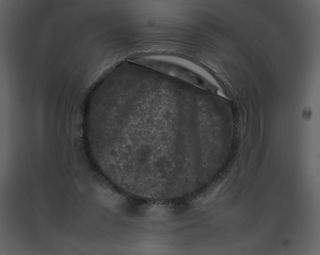 X0000092270303200710051345