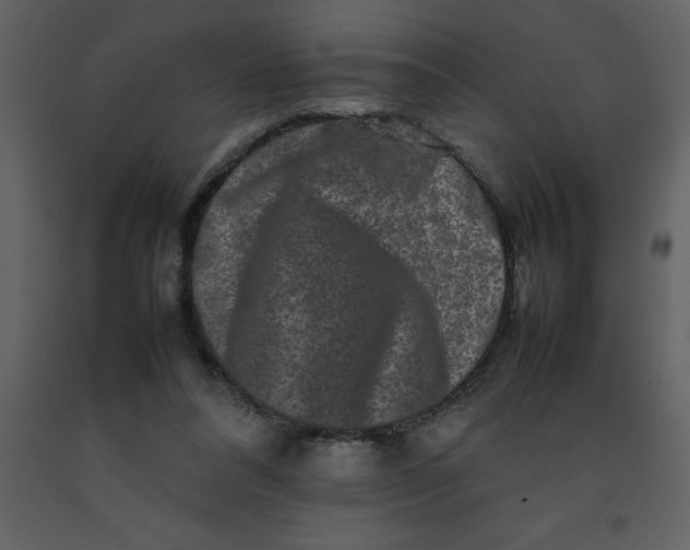 X0000092270304200710051345