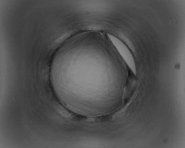X0000092270305200710051345