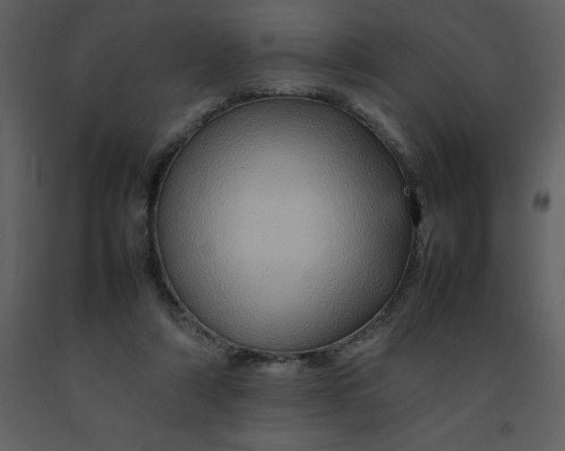 X0000092270306200710051345