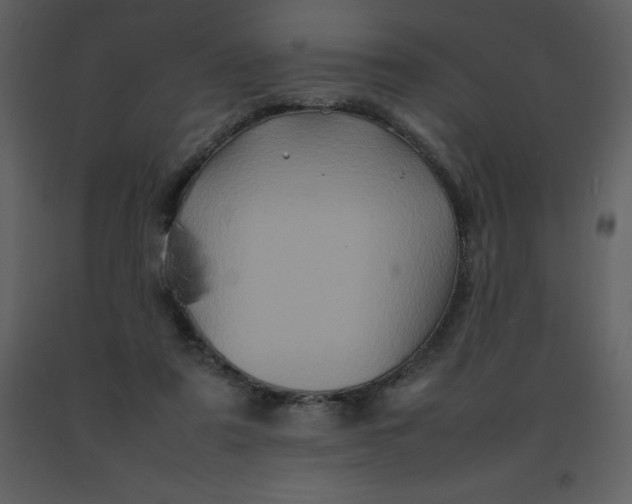 X0000092270307200710051345