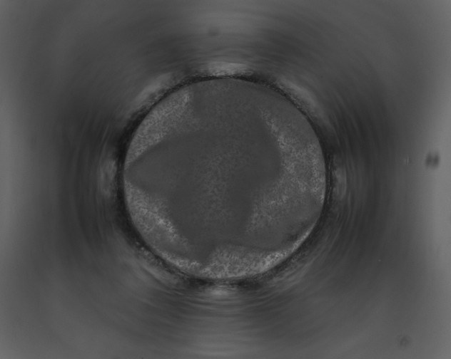 X0000092270308200710051345