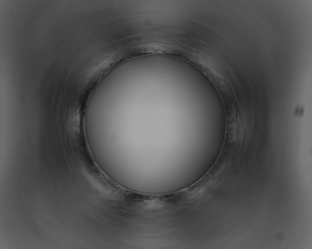 X0000092270310200710051345