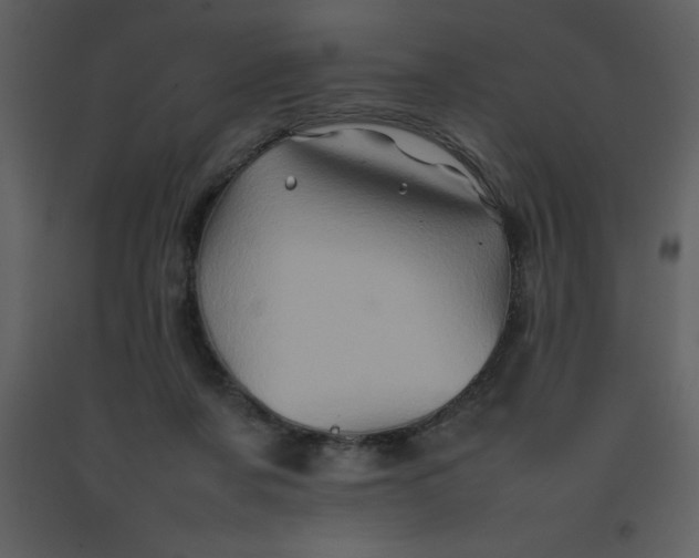 X0000092270311200710051345