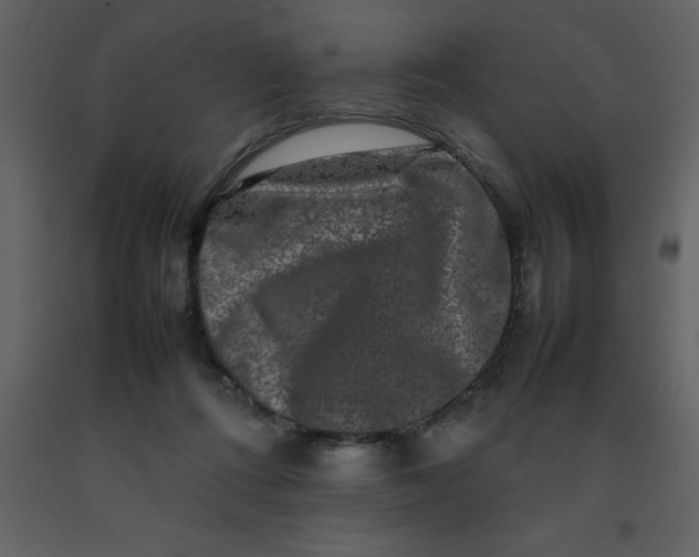 X0000092270312200710051345