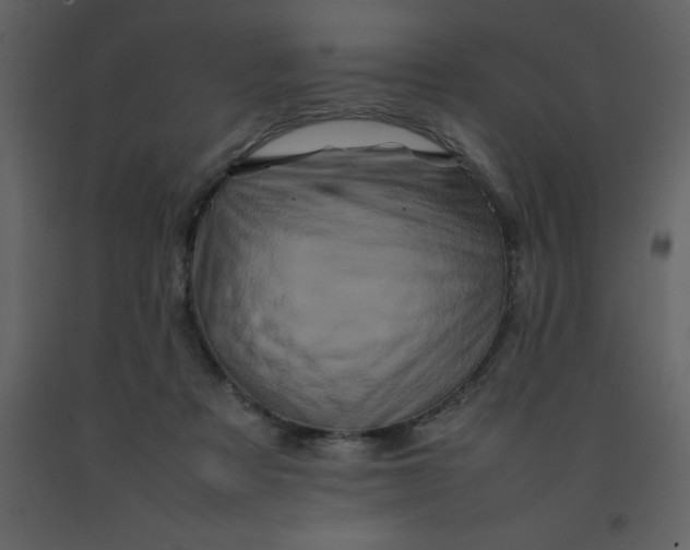 X0000092270313200710051345
