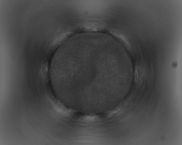 X0000092270314200710051345