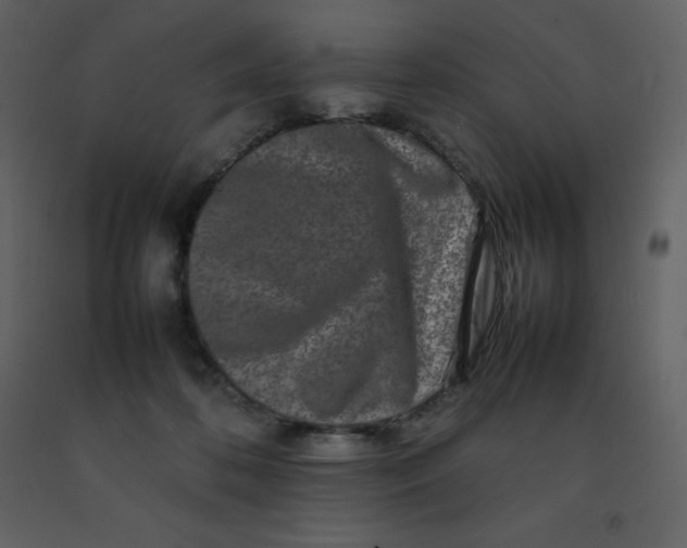X0000092270316200710051345